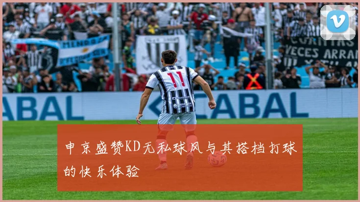 申京盛赞KD无私球风与其搭档打球的快乐体验