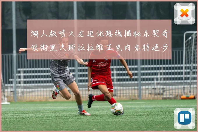 湖人版喷火龙进化路线揭秘东契奇领衔里夫斯拉拉维亚克内克特逐步崛起