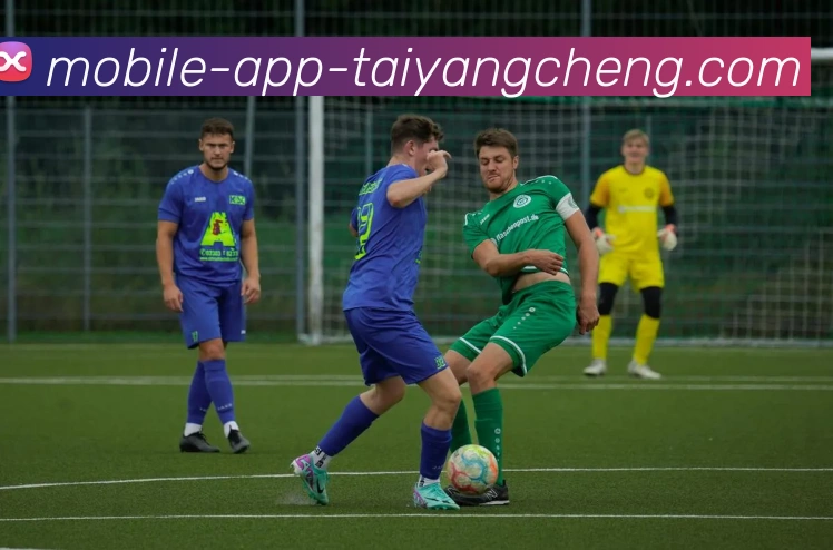 太阳城APP 封面图