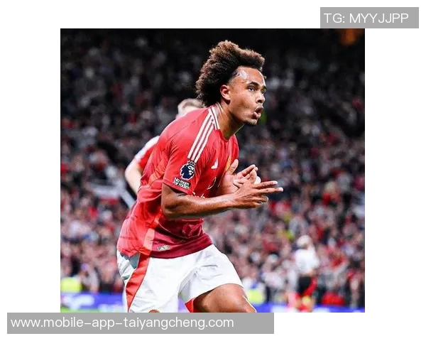 意媒报道囧叔希望引进强力中锋大菲尔莱万齐尔克泽成热门人选